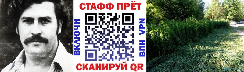 Что такое Ревда A PVP Каннабис