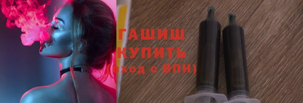 хмурый Алексин