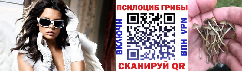 где продают наркотики  Ревда  omg ONION  Галлюциногенные грибы Magic Shrooms 