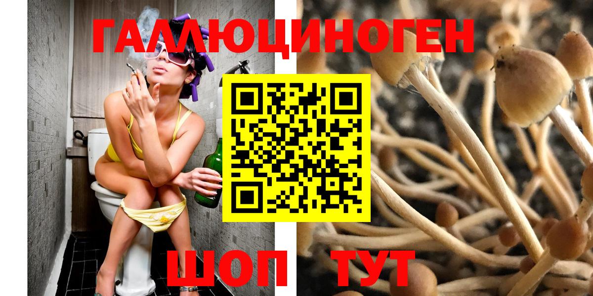Псилоцибиновые грибы GOLDEN TEACHER  Вход с VPN  продажа наркотиков  Ревда 